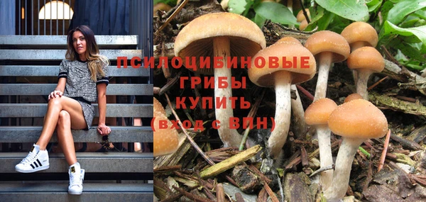 скорость Алексин
