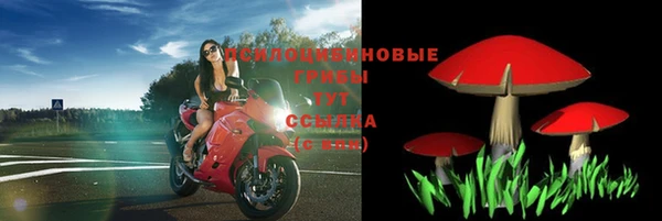 скорость Алексин